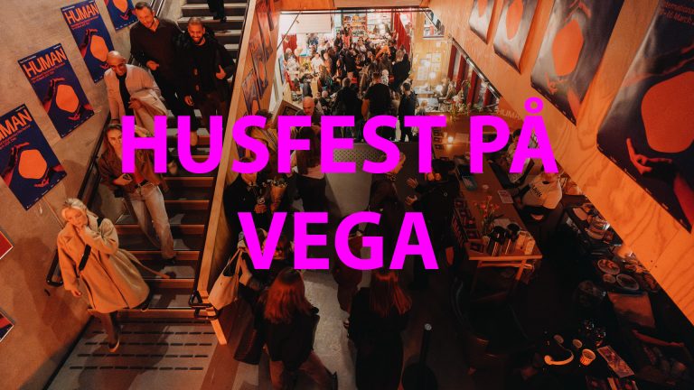Festival Party at Vega